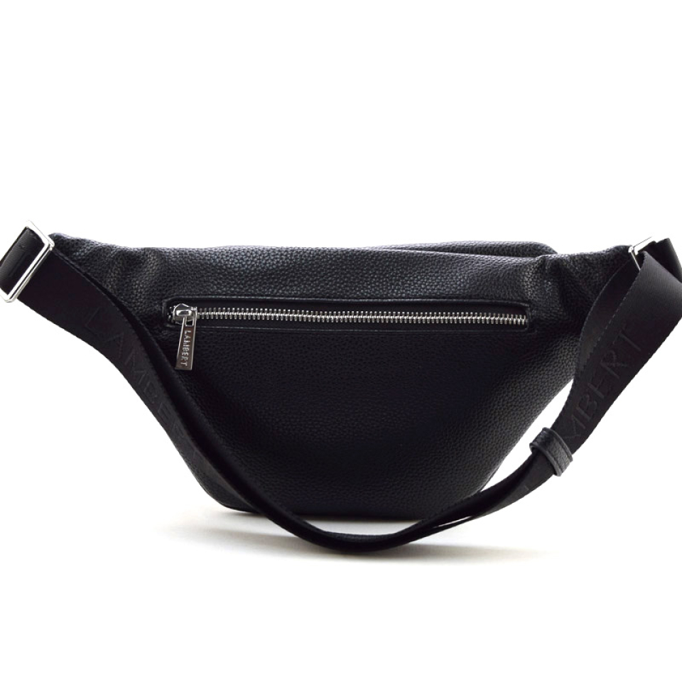 ZM - DUBLIN - LAMBERT